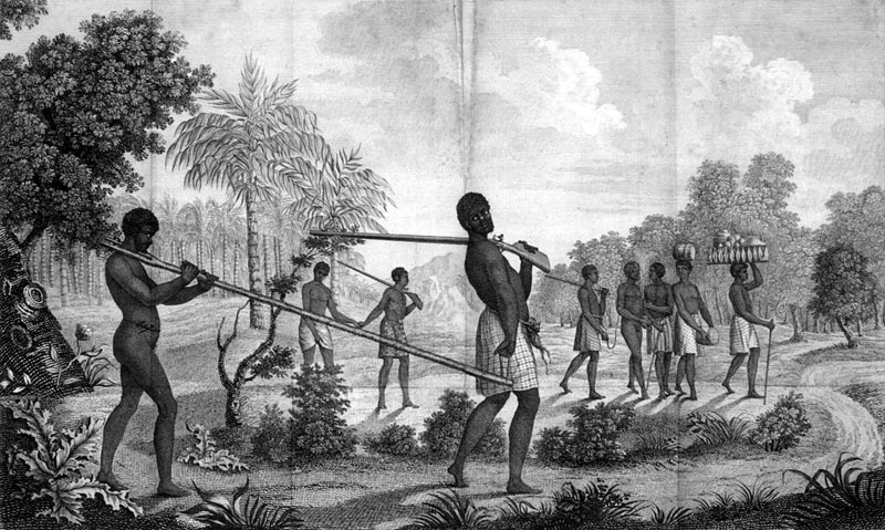 Slaves being moved to the coast of Africa destined for St. Domingue, 1786.