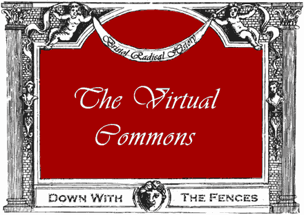 The Virtual Commons
