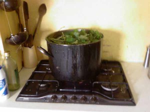 The Pot. The Pot.
