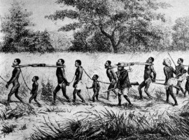 An African dealer marches Slaves to the coast where they will be sold.