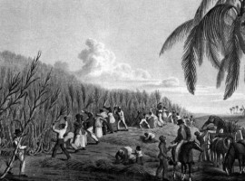 Slave Market on the Kambia River, Coast of Africa. A woodcut from an oil painting from 1840.