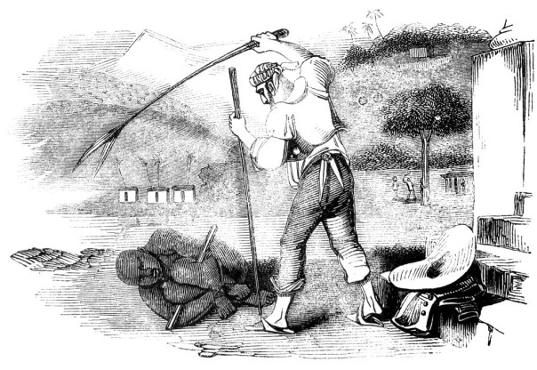 The flogging of slaves in Brasil