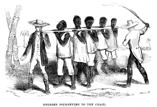 Slaves being take to the coast in a coffle