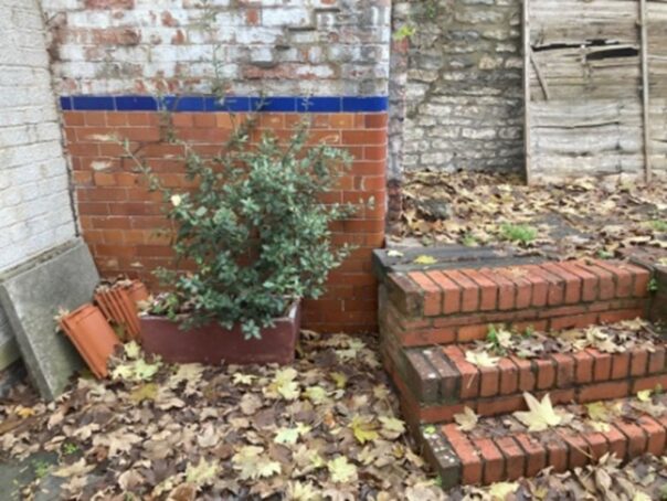 Steps in the Health Centre garden.