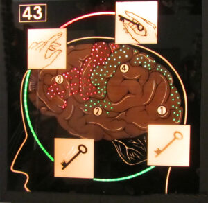Key to understanding the brain 1970s training school 